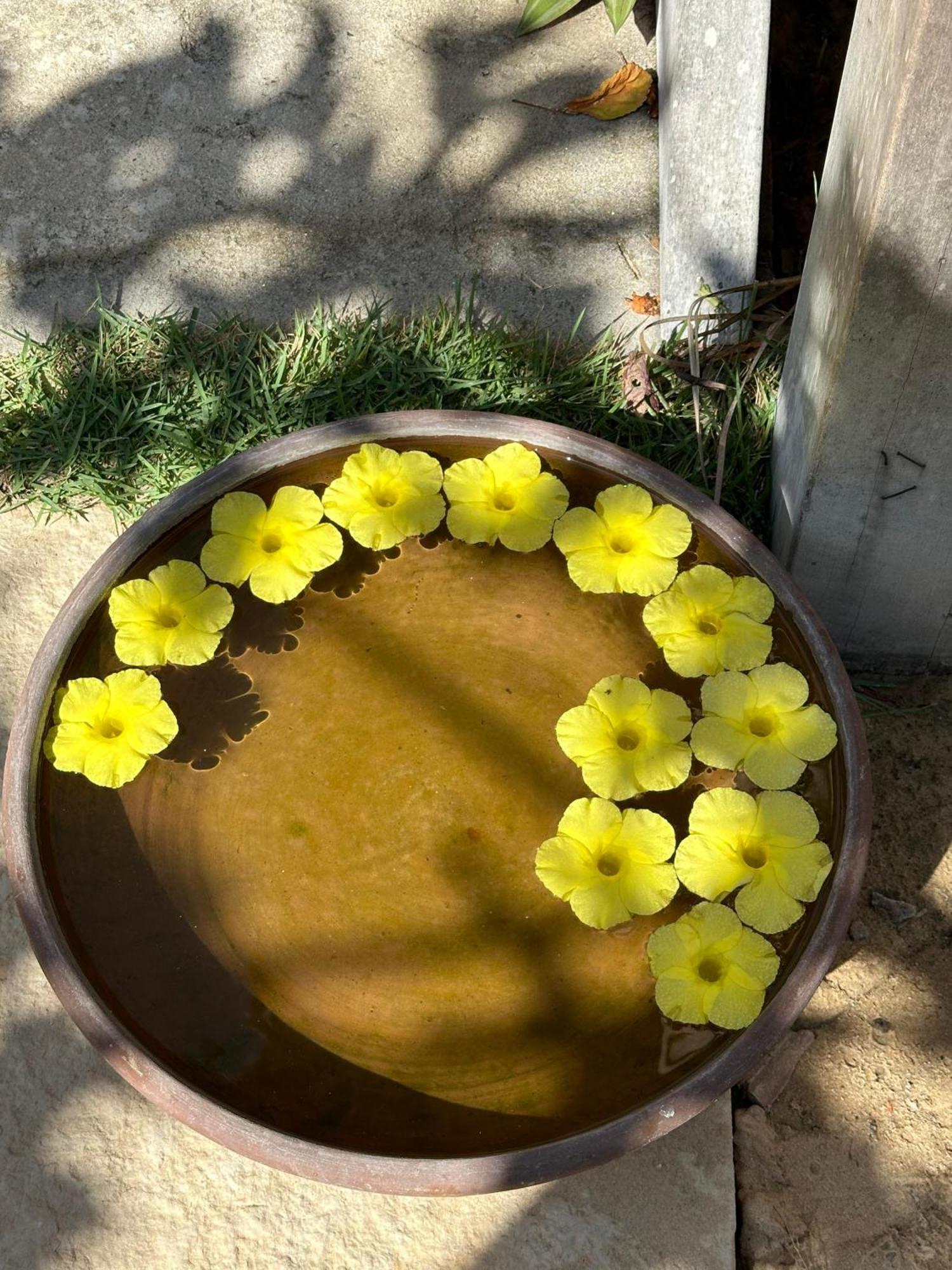 Pousada Casa Caju Bangalows クムブコ エクステリア 写真