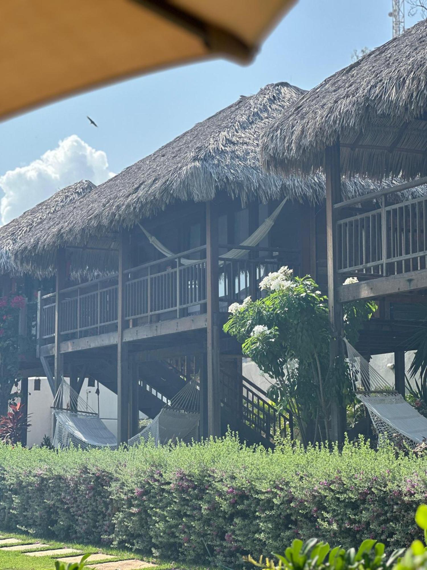 Pousada Casa Caju Bangalows クムブコ エクステリア 写真